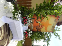 DSCN5572.JPG