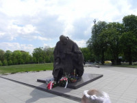 DSCN4971.JPG