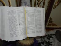 DSCN8916.JPG