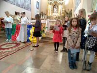 IMG_20191013_100130.jpg