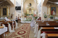 IMG_8373.JPG