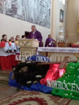 IMG_20200308_100907.jpg