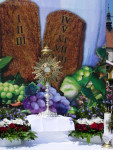 DSCN0172.JPG