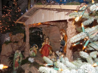 DSCN8610.JPG