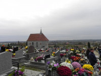 DSCN8239.JPG