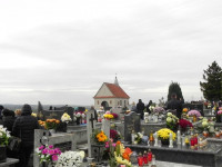 DSCN8286.JPG