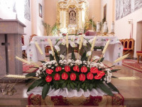 DSCN5293.JPG