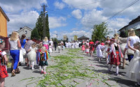 DSCN5468.JPG