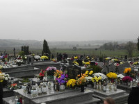 DSCN0556.JPG