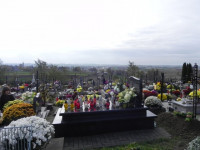 DSCN0722.JPG