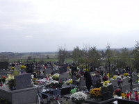 DSCN0716.JPG