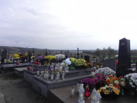 DSCN0735.JPG