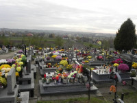 DSCN0814.JPG