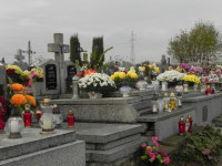 DSCN0841.JPG
