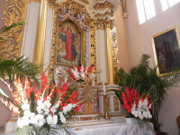 DSCN9081.JPG