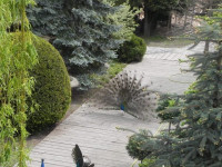DSCN5945.JPG