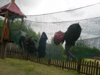 DSCN6131.JPG