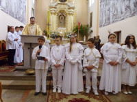 P1180650.JPG