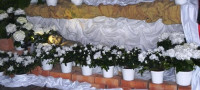 DSCN4746.JPG