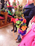 DSCN4502.JPG