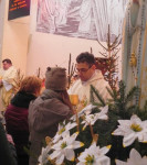 DSCN9808.JPG