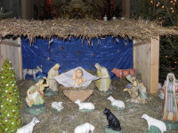 DSCN9399.JPG