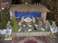 DSCN9395.JPG