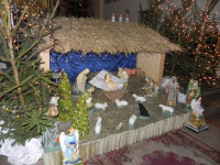 DSCN9396.JPG