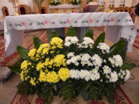 DSCN7002.JPG