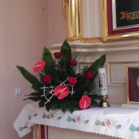DSCN5956.JPG