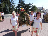 DSCN5646.JPG