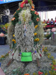 DSCN5724.JPG