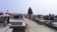 DSCN5054.JPG