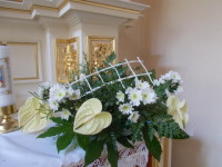 DSCN9924.JPG