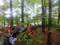 P1100828.JPG