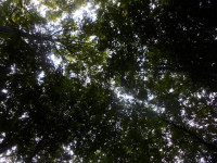 P1100846.JPG