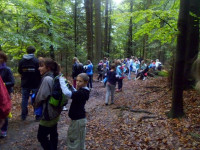 P1100874.JPG