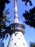P1100941.JPG