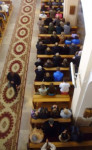 P1100539.JPG