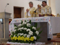 DSCN8993.JPG