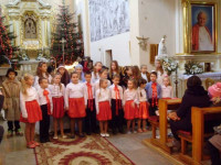P1030313.jpg