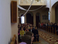 P1020230.jpg